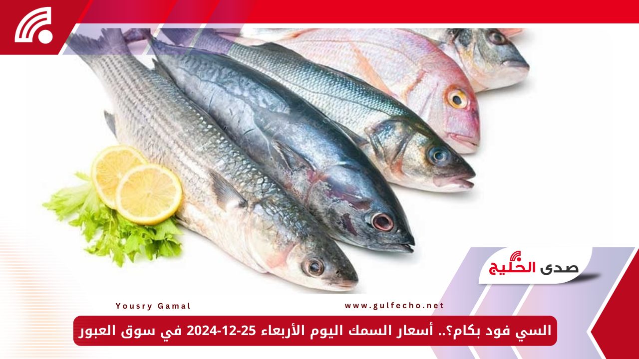 السي فود بكام؟.. أسعار السمك اليوم الأربعاء 25-12-2024 في سوق العبور 5 السي فود بكام؟.. أسعار السمك اليوم الأربعاء 25-12-2024 في سوق العبور