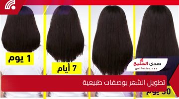 تطويل الشعر بوصفات طبيعية.. أقوى كيراتين طبيعي لفرد وتطويل الشعر في المنزل