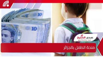 كيفية التقديم في منحة الطفل في الجزائر 2024 والشروط والضوابط المطلوبة للحصول على الدعم 