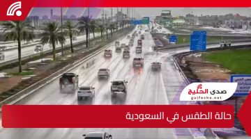 انخفاض في درجات الحرارة على مناطق.. حالة الطقس في السعودية اليوم الثلاثاء 31 ديسمبر 2024