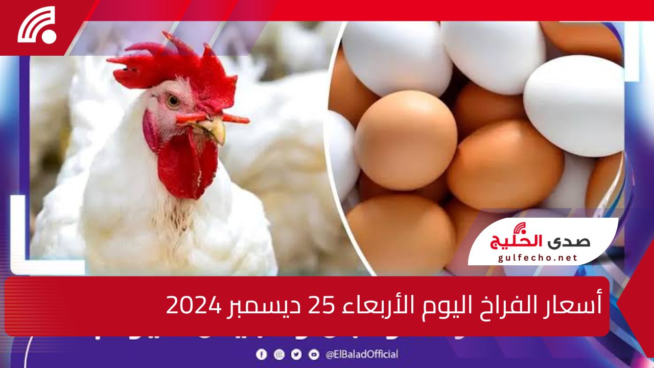 "تغييرات جذرية اليوم".. أسعار الفراخ والبيض اليوم الأربعاء 25 ديسمبر 2024 5 “تغييرات جذرية اليوم”.. أسعار الفراخ والبيض اليوم الأربعاء 25 ديسمبر 2024