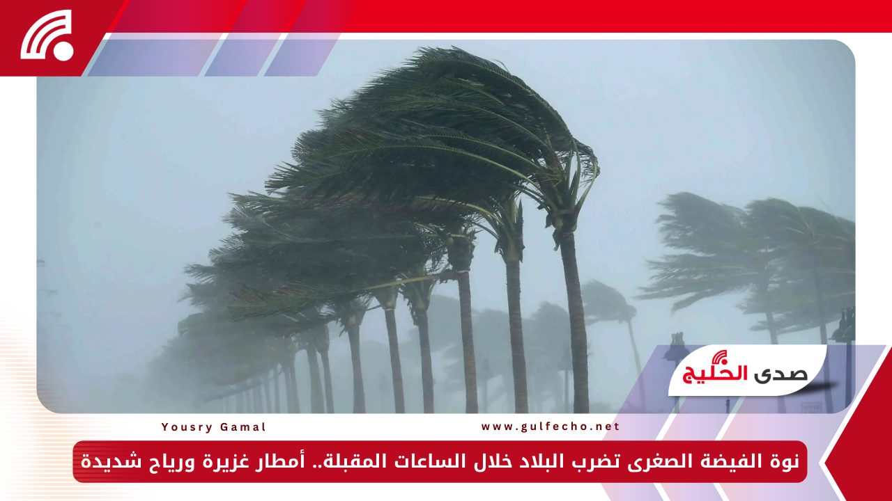 نوة الفيضة الصغرى تضرب البلاد خلال الساعات المقبلة.. أمطار غزيرة ورياح شديدة 5 نوة الفيضة الصغرى تضرب البلاد خلال الساعات المقبلة.. أمطار غزيرة ورياح شديدة