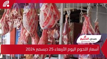 “نار نار الاسعار”.. إليك أسعار اللحوم اليوم الأربعاء 25 ديسمبر 2024