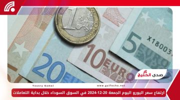 ارتفاع سعر اليورو اليوم الجمعة 20-12-2024 في السوق السوداء خلال بداية التعاملات