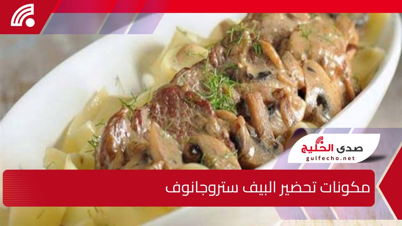مش هتبطلي تعمليها.. خطوات تحضير البيف ستروجانوف في البيت بعدة خطوات سهلة وبسيطة 5 مش هتبطلي تعمليها.. خطوات تحضير البيف ستروجانوف في البيت بعدة خطوات سهلة وبسيطة