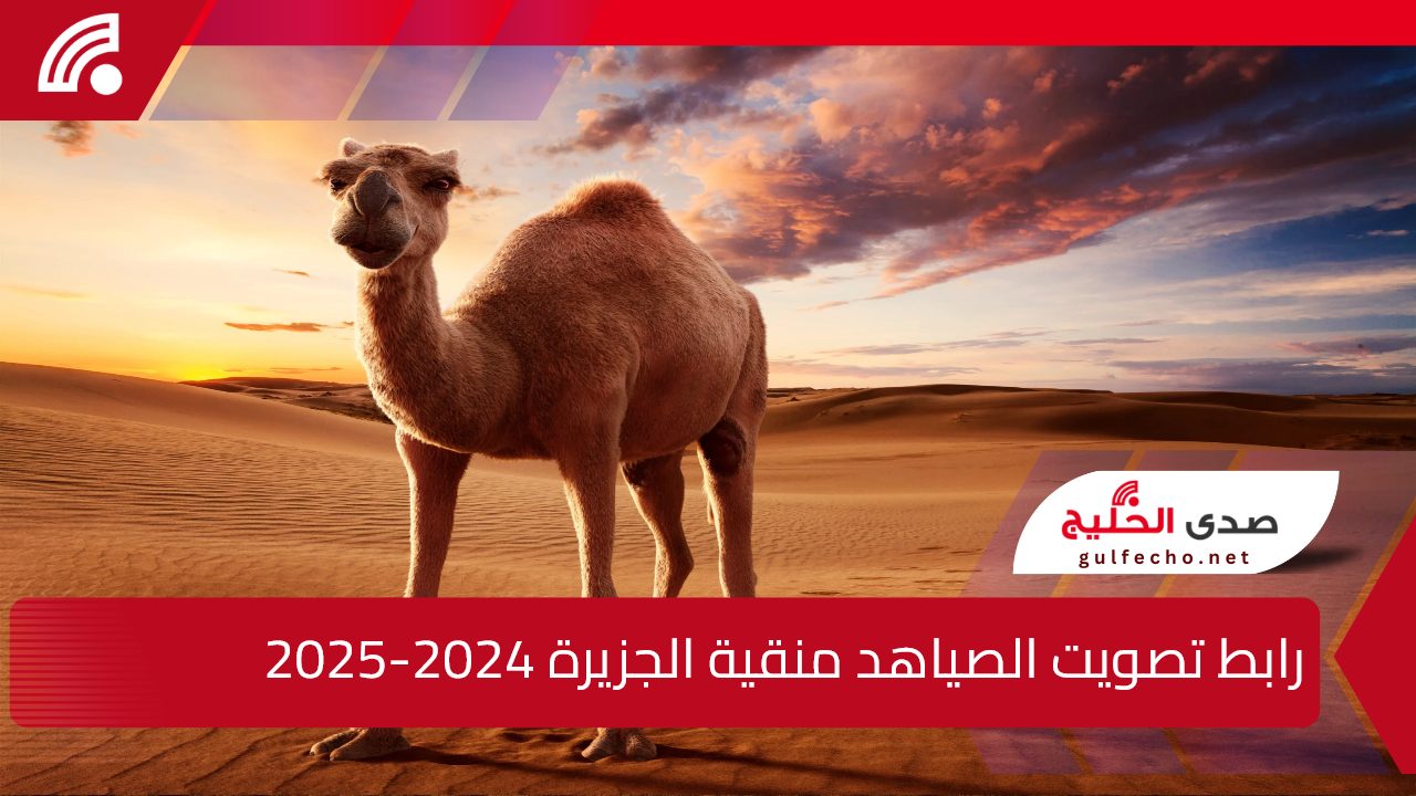 باشات شمر ضد منقية قطامات.. رابط تصويت الصياهد منقية الجزيرة 2024-2025 عبر منصة راعي النظر raialnadhar.com 5 باشات شمر ضد منقية قطامات.. رابط تصويت الصياهد منقية الجزيرة 2024-2025 عبر منصة راعي النظر raialnadhar.com