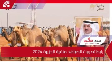 صوت الآن.. رابط تصويت الصياهد منقية الجزيرة 2024 عبر منصة raialnadhar.com