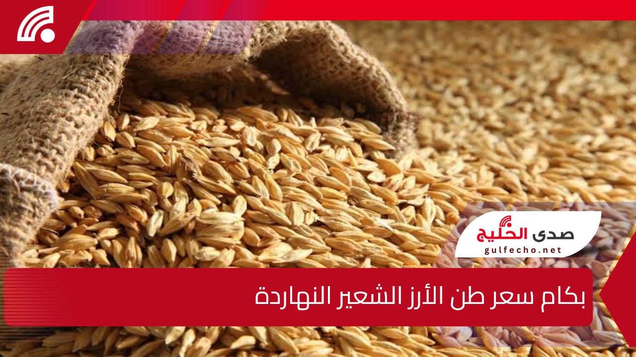 تعرف على سعر طن الأرز الشعير في الأسواق المصرية اليوم الجمعة 20 ديسمبر 2024.. وأحدث أسعار السلع الاستهلاكية اللي لازم تكون عارفها 5 تعرف على سعر طن الأرز الشعير في الأسواق المصرية اليوم الجمعة 20 ديسمبر 2024.. وأحدث أسعار السلع الاستهلاكية اللي لازم تكون عارفها
