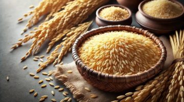 سعر طن الأرز الشعير اليوم.. العريضة والرفيعة بكام دلوقتي
