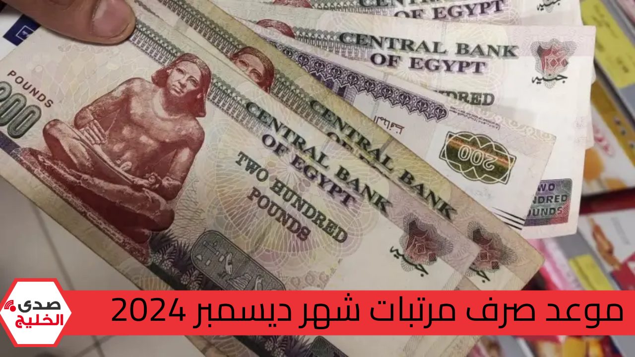 "بشرى سارة ".. تبكير موعد صرف مرتبات شهر ديسمبر 2024 لجميع الموظفين في قطاعات الدولة والحد الأدنى للأجور 5 “بشرى سارة “.. تبكير موعد صرف مرتبات شهر ديسمبر 2024 لجميع الموظفين في قطاعات الدولة والحد الأدنى للأجور