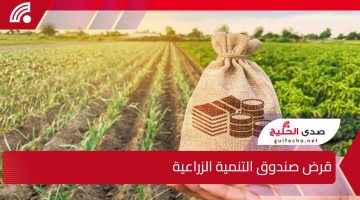 صندوق التنمية الزراعية.. يوضح متطلبات التقديم على قرض صندوق التنمية الزراعية