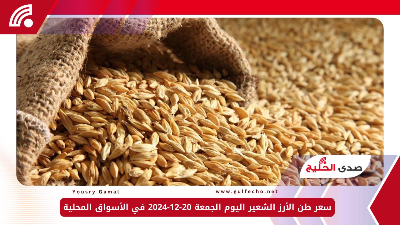 سعر طن الأرز الشعير اليوم الجمعة 20-12-2024 في الأسواق المحلية 5 سعر طن الأرز الشعير اليوم الجمعة 20-12-2024 في الأسواق المحلية
