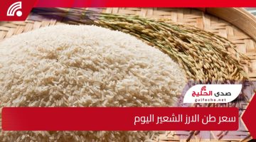 استقرار أم تقلبات؟.. سعر طن الارز الشعير اليوم الثلاثاء 24 ديسمبر 2024 في السوق المصري
