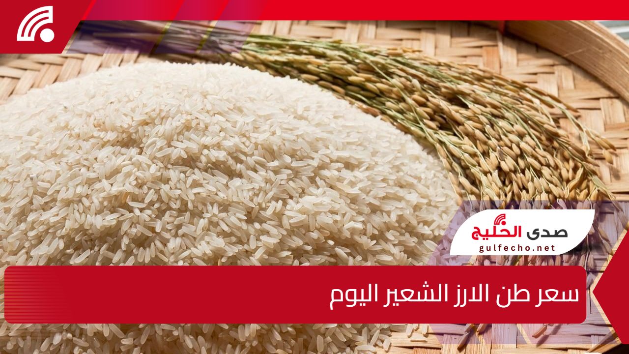 استقرار أم تقلبات؟.. سعر طن الارز الشعير اليوم الثلاثاء 24 ديسمبر 2024 في السوق المصري 5 استقرار أم تقلبات؟.. سعر طن الارز الشعير اليوم الثلاثاء 24 ديسمبر 2024 في السوق المصري