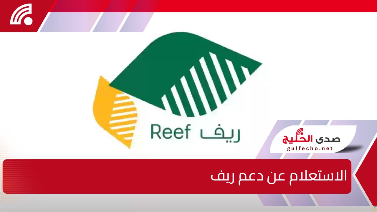 خطوات الاستعلام عن دعم ريف طريق النفاذ الوطني 1446 والفئات المستحقة 5 خطوات الاستعلام عن دعم ريف طريق النفاذ الوطني 1446 والفئات المستحقة