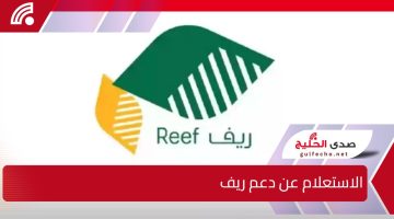 “كله أونلاين من البيت”.. استعلام عن دعم ريف..الطريقة والشروط والأوراق المطلوبة