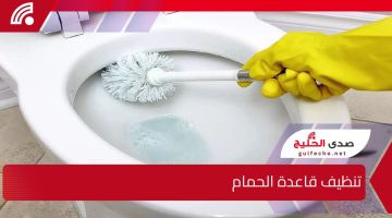 تحدي تنظيف الحمام في 10 دقائق .. تنظيف قاعدة الحمام من الرواسب، هتقولي وداعاً للأوساخ