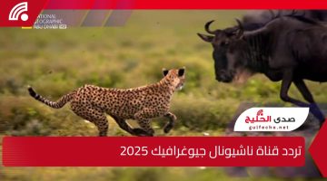 نزل تردد قناة ناشيونال جيوغرافيك على الأقمار الصناعية الان