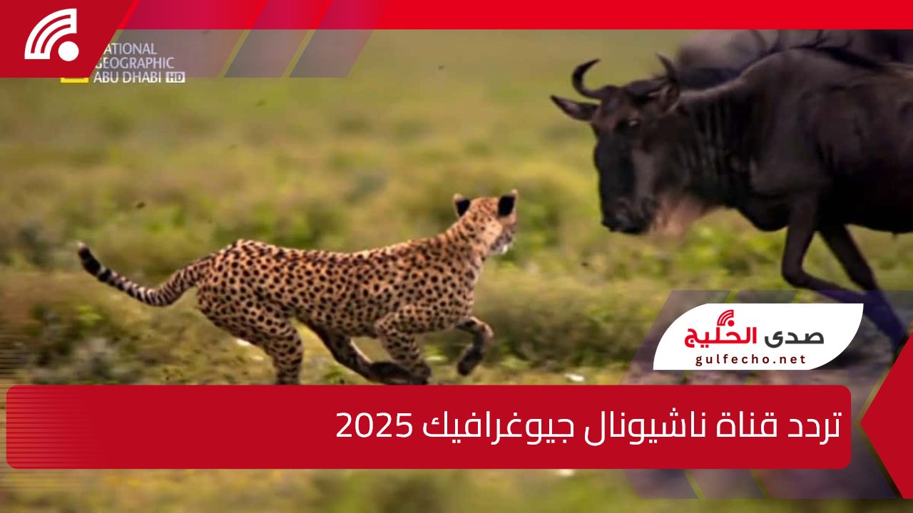 نزل تردد قناة ناشيونال جيوغرافيك على الأقمار الصناعية الان 5 نزل تردد قناة ناشيونال جيوغرافيك على الأقمار الصناعية الان