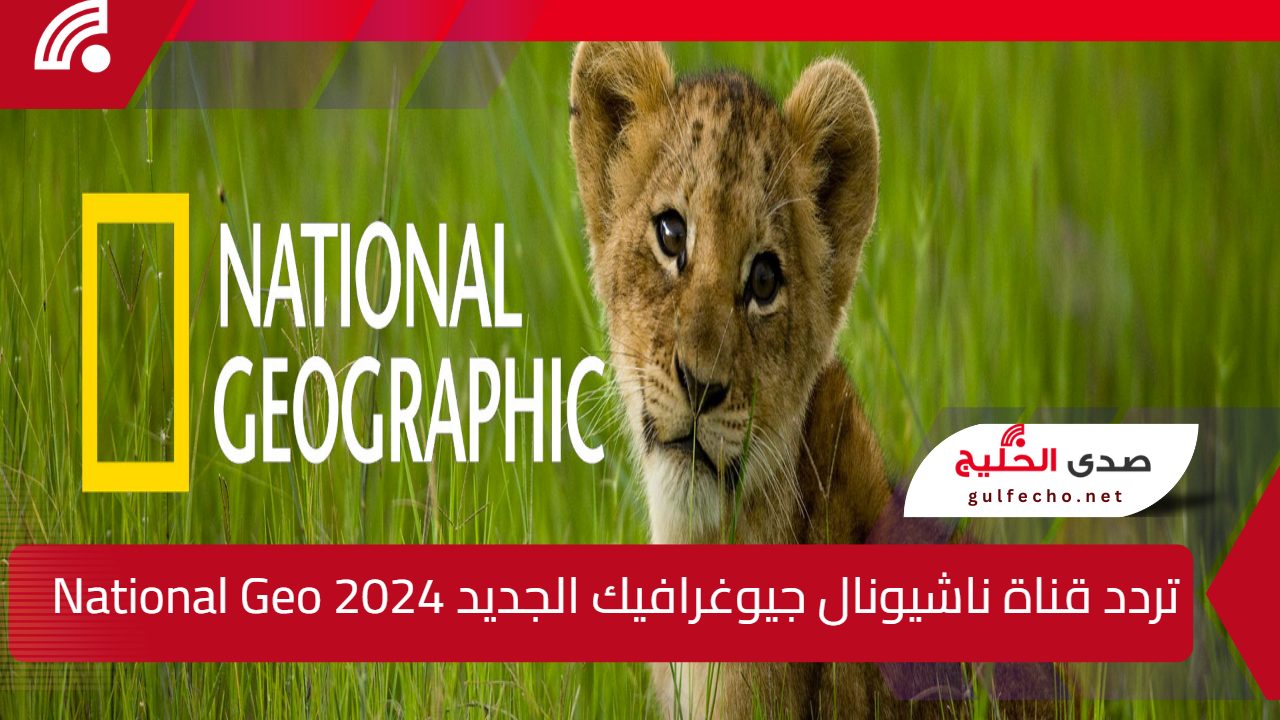 تردد قناة ناشيونال جيوغرافيك الجديد 2024 National Geographic على نايل سات وعرب سات بأعلى جودة (HD) 5 تردد قناة ناشيونال جيوغرافيك الجديد 2024 National Geographic على نايل سات وعرب سات بأعلى جودة (HD)