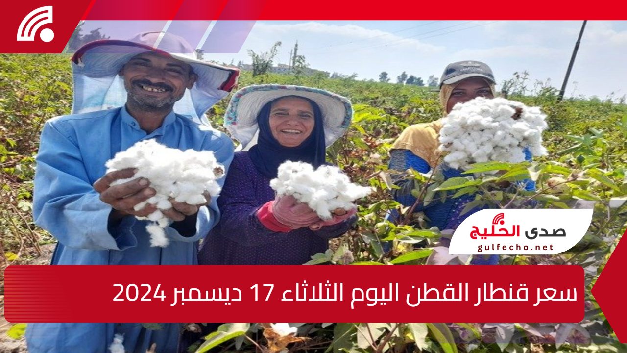 الذهب الابيض.. سعر قنطار القطن اليوم الثلاثاء 17 ديسمبر 2024 في محافظات وجه قبلي والبحري 5 الذهب الابيض.. سعر قنطار القطن اليوم الثلاثاء 17 ديسمبر 2024 في محافظات وجه قبلي والبحري