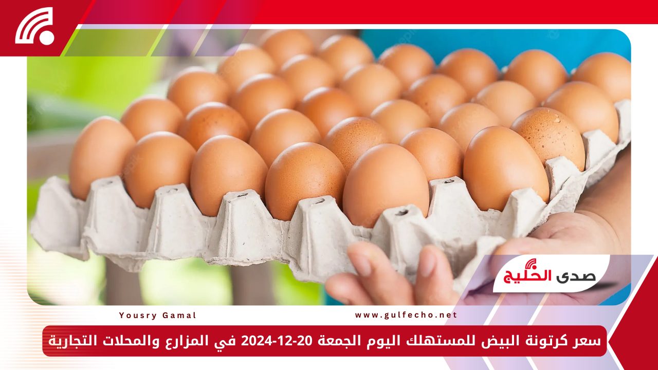 سعر كرتونة البيض للمستهلك اليوم الجمعة 20-12-2024 في المزارع والمحلات التجارية 5 سعر كرتونة البيض للمستهلك اليوم الجمعة 20-12-2024 في المزارع والمحلات التجارية