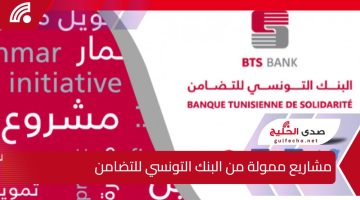 مشاريع ممولة من البنك التونسي للتضامن وشروط الحصول على القرض