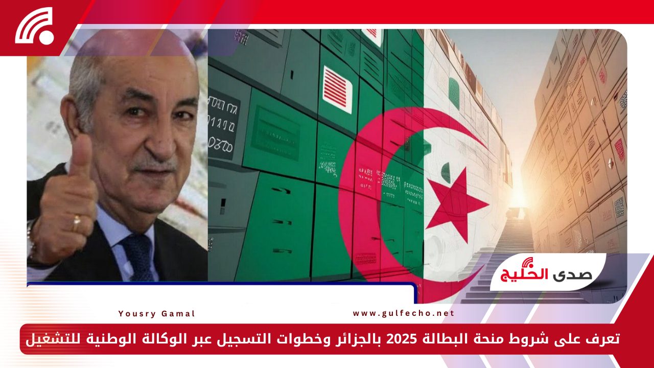 تعرف على شروط منحة البطالة 2025 بالجزائر وخطوات التسجيل عبر الوكالة الوطنية للتشغيل 5 تعرف على شروط منحة البطالة 2025 بالجزائر وخطوات التسجيل عبر الوكالة الوطنية للتشغيل
