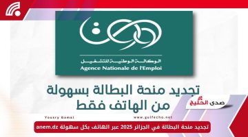 تجديد منحة البطالة في الجزائر 2025 عبر الهاتف بكل سهولة anem.dz