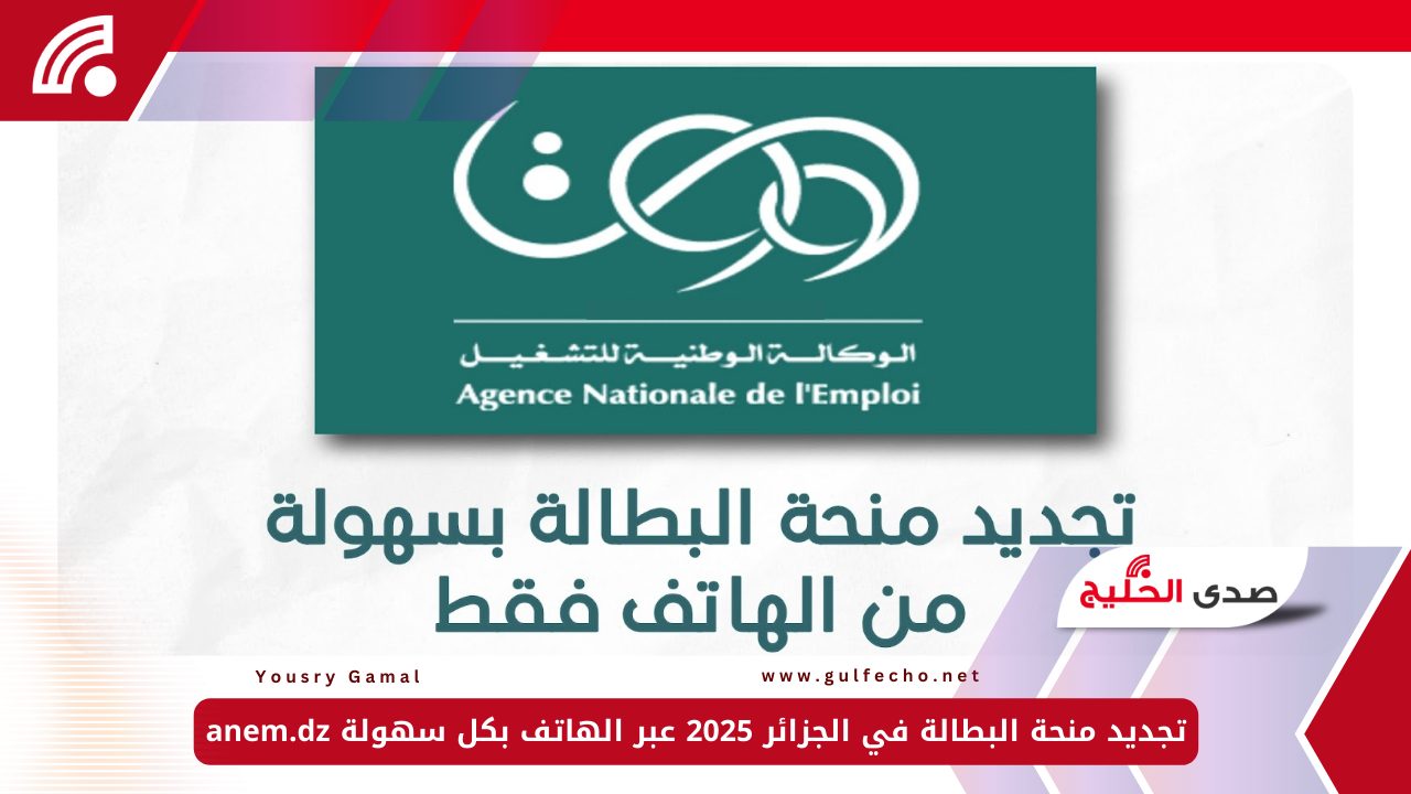 تجديد منحة البطالة في الجزائر 2025 عبر الهاتف بكل سهولة anem.dz 5 تجديد منحة البطالة في الجزائر 2025 عبر الهاتف بكل سهولة anem.dz