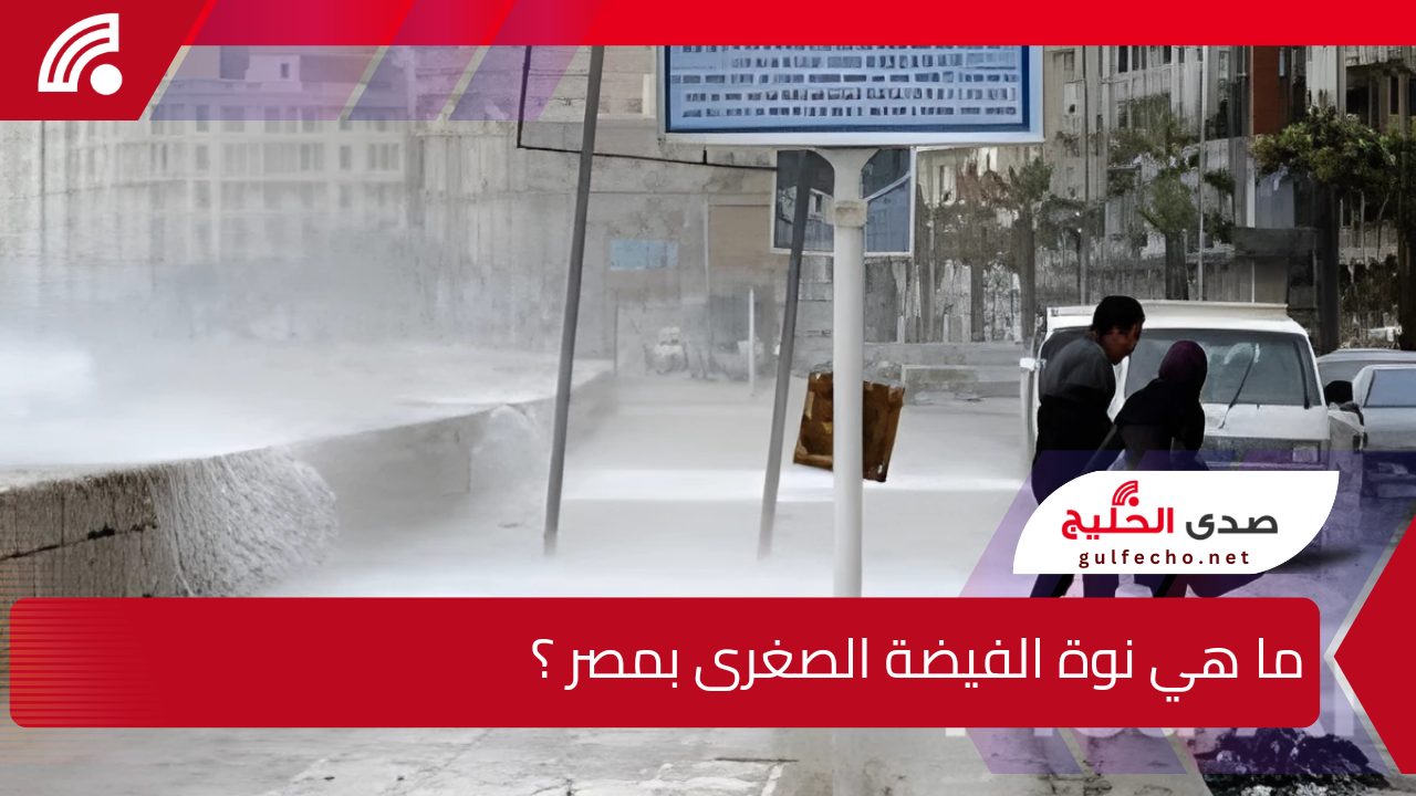 "أنها تقترب أحذر".. ما هي نوة الفيضة الصغرى بمصر ؟ وموعدها بالتفصيل وأبرز التأثيرات التي تجلبها 5 “أنها تقترب أحذر”.. ما هي نوة الفيضة الصغرى بمصر ؟ وموعدها بالتفصيل وأبرز التأثيرات التي تجلبها