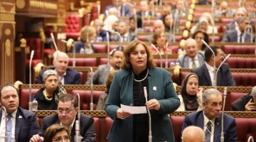 النائبة عايدة نصيف: مصر تثبت تفوقها في احتواء الأزمات الإقليمية.. وداعم رئيسي للسلام في الشرق الأوسط