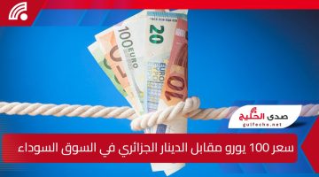 قفزة جديدة أم استقرار؟ سعر 100 يورو مقابل الدينار الجزائري في السوق السوداء يثير اهتمام الجميع