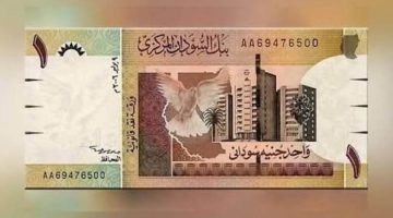 بوابة روز اليوسف | عاجل