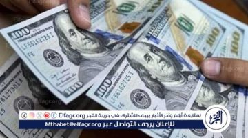 سعر الدولار اليوم الأربعاء 8 يناير 2025: استقرار ملحوظ في البنوك المصرية