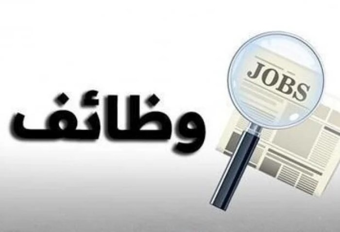 كيفية التقديم في وظائف بنك القاهرة 2025 5 كيفية التقديم في وظائف بنك القاهرة 2025