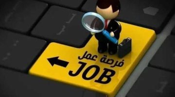 وظائف المصريين في الخارج 2025.. توفر تأمين صحي واجتماعي