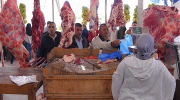 أسعار اللحوم الحمراء اليوم الأربعاء