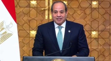 الرئيس السيسي: المنطقة لا تتحمل مغامرات تهز استقرارها وتعصف بدولها