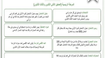 بالأرقام شهادة البكالوريا المصرية 700 درجة و500 جنيه لكل مادة والتربية الدينية  أساسية..أنفوجراف