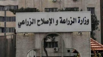 هل تستورد مصر الدواجن ومنتجاتها من الصين؟.. وزارة الزراعة تجيب