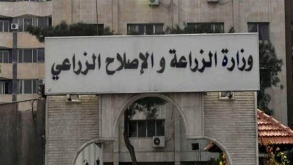 هل تستورد مصر الدواجن ومنتجاتها من الصين؟.. وزارة الزراعة تجيب 5 هل تستورد مصر الدواجن ومنتجاتها من الصين؟.. وزارة الزراعة تجيب