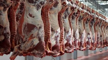 عاجل.. شعبة القصابين توضح حقيقة زيادة أسعار اللحوم