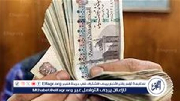 تعرف على موعد صرف معاشات نقابة المعلمين 5 تعرف على موعد صرف معاشات نقابة المعلمين