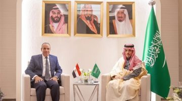 مصر والسعودية تؤكدان أهمية احترام سيادة سوريا ووحدة وسلامة أراضيها