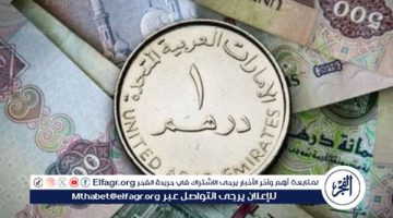 سعر الدرهم الاماراتي والعملات العربية أمام الجنيه المصري في تعاملات اليوم الإثنين 13-1-2025