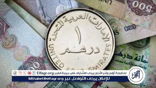 سعر الدرهم الاماراتي والعملات العربية أمام الجنيه المصري في تعاملات اليوم الإثنين 13-1-2025