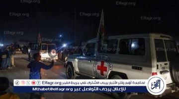 عاجل – صفقة غزة 2025.. مفاجآت مدوية بشأن المرحلة الأولى من وقف إطلاق النار والمدة المتوقعة (تفاصيل)