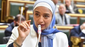 برلمانية: مشروع قانون الإجراءات الجنائية الدستور الثاني للمواطنين