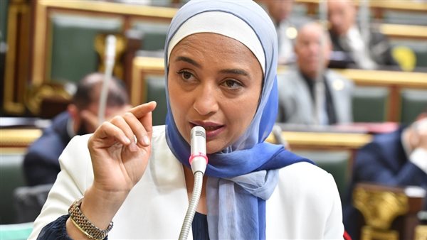 برلمانية: مشروع قانون الإجراءات الجنائية الدستور الثاني للمواطنين 5 برلمانية: مشروع قانون الإجراءات الجنائية الدستور الثاني للمواطنين